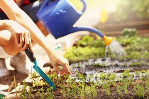 Garden pricing consultation for a property in Erith