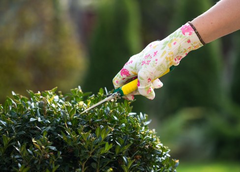 Gardeners Erith team introducing local garden care services