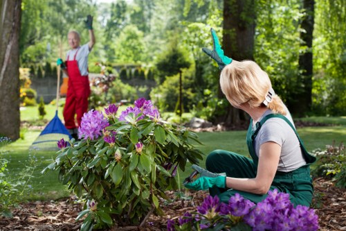 Professional Gardeners Erith supporting long-term garden health