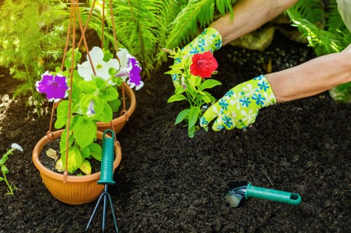 Professional garden clearance in Erith sorting green waste and clutter