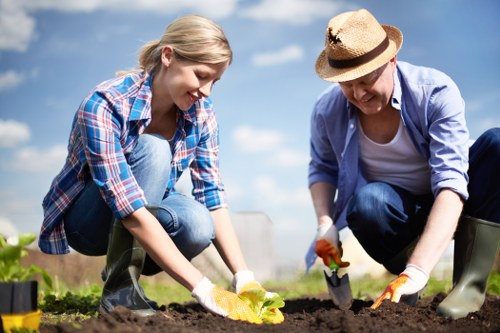Professional lawn mowing in Erith for a neat residential garden