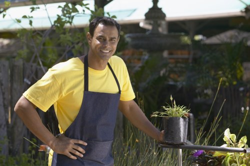 Seasonal lawn treatment improving grass in Erith