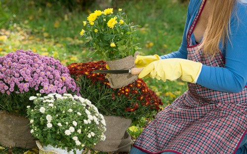 Seasonal planting scheme for landscape gardening in Erith garden borders