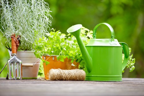 Professional gardening services in Erith for a tidy residential garden