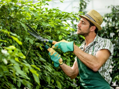 Team assessing garden hazards before starting work