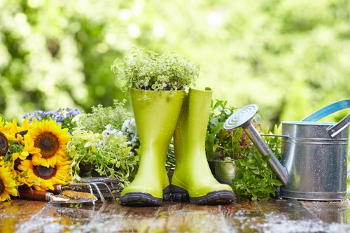 Erith gardeners maintaining a neat and healthy outdoor space