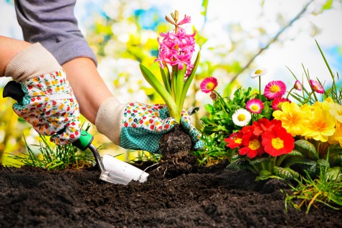 Recycling-focused gardening service in Erith