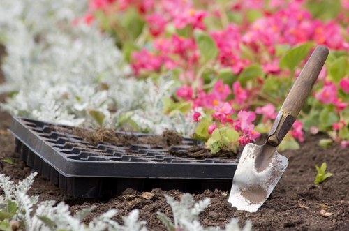 Seasonal garden clearance in Erith restoring a tidy outdoor space