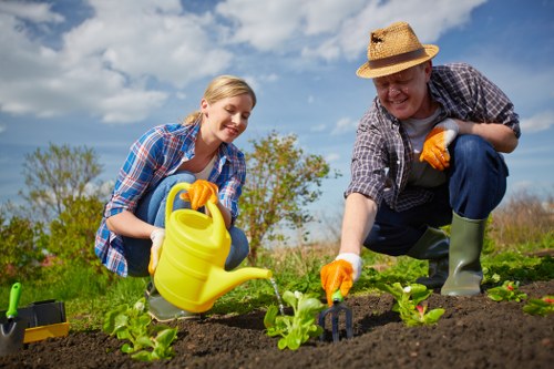 Seasonal hedge maintenance for Erith homes