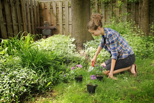 Gardener trimming a dense hedge in Erith