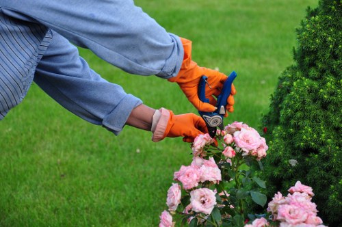 A healthy garden in Erith with planted borders and lawn care