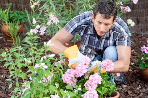 Local garden specialists improving a residential garden in Erith